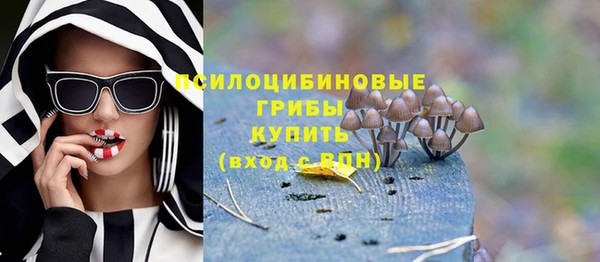 spice Надым