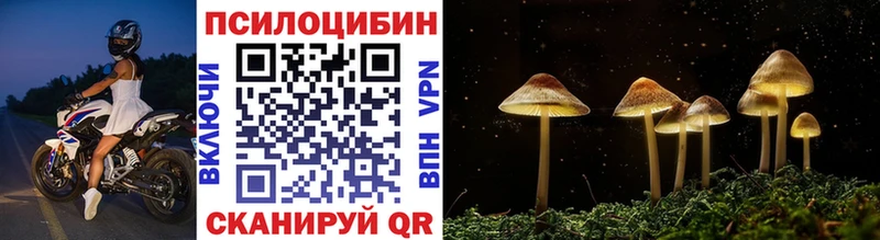 хочу   Волгодонск  Псилоцибиновые грибы GOLDEN TEACHER 