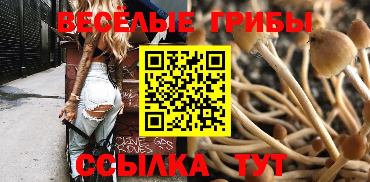 Галлюциногенные грибы Psilocybine cubensis  Вход с VPN  Волгодонск 