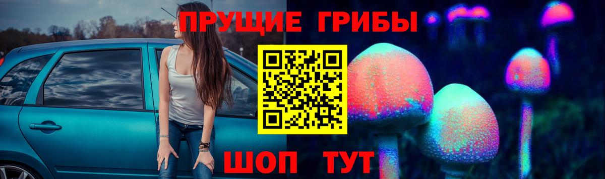 Галлюциногенные грибы прущие грибы Волгодонск